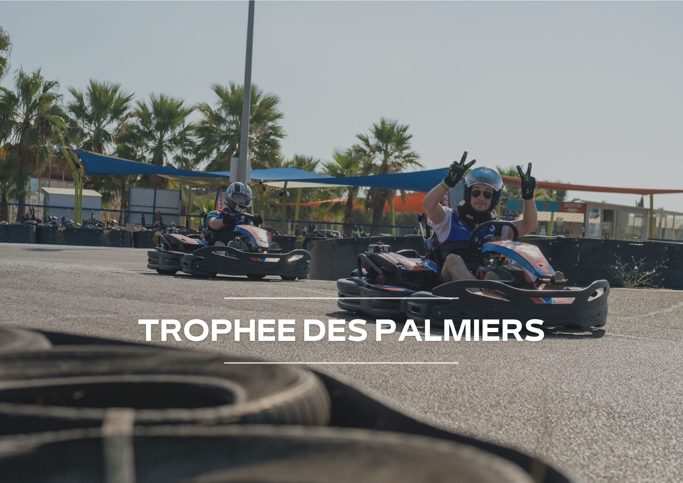 EN TÊTE TROPHEE PALMIERS